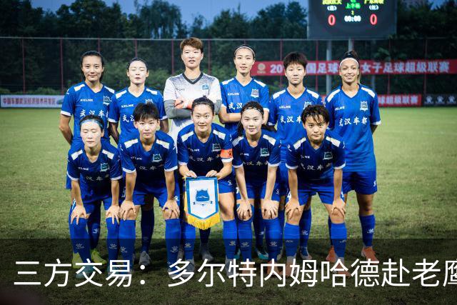 三方交易：多尔特内姆哈德赴老鹰 雷霆获3次轮签 独行侠获里萨谢