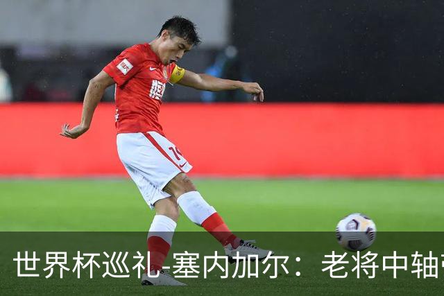 世界杯巡礼-塞内加尔：老将中轴带来安全感，非洲顶流前景可期！