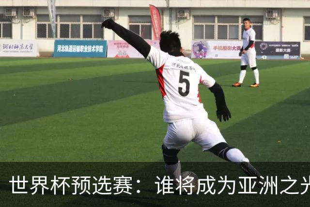 世界杯预选赛：谁将成为亚洲之光？
