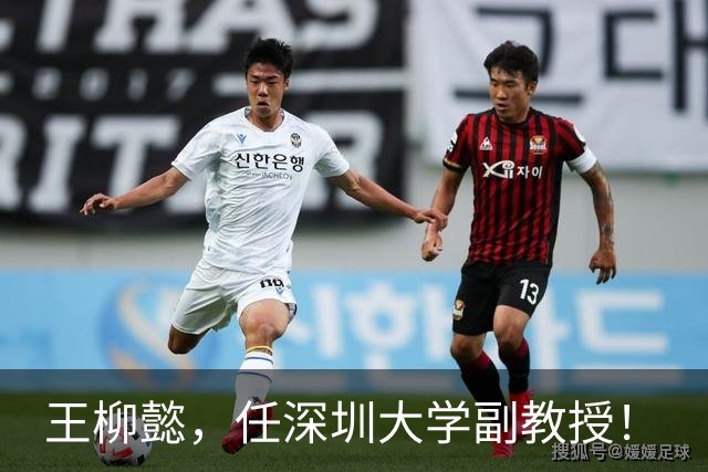 王柳懿，任深圳大学副教授！