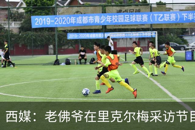 西媒：老佛爷在里克尔梅采访节目后播放竞选广告，堪称绝妙一招